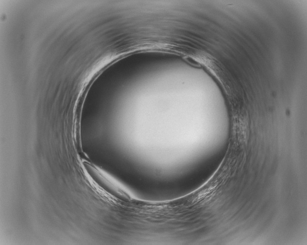 X0000053051143200507251416