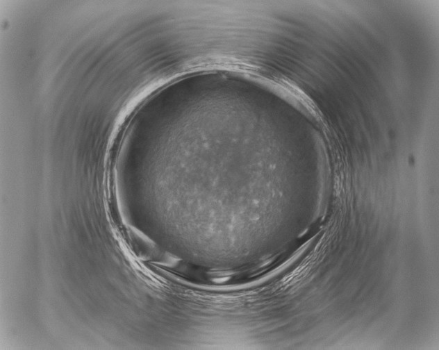 X0000053051144200507251416