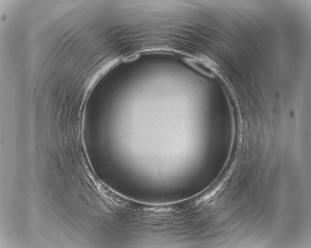 X0000053051145200507251416