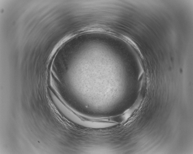 X0000053051146200507251416