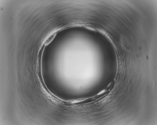 X0000053051147200507251416