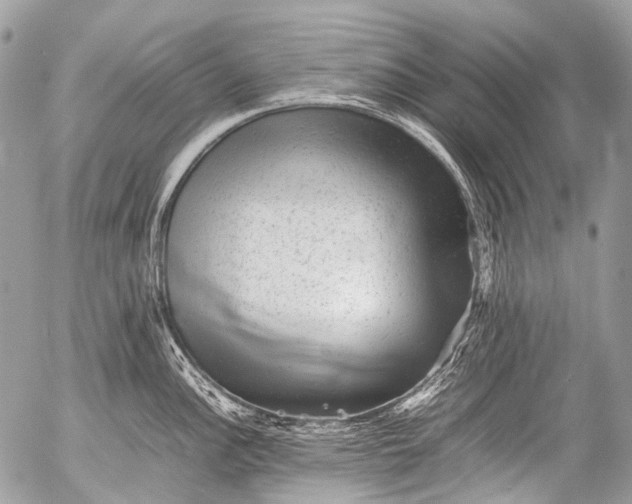 X0000053051148200507251416