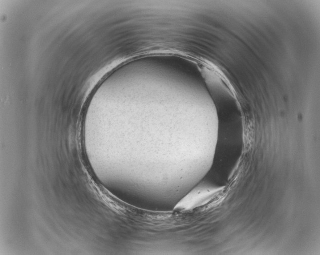 X0000053051149200507251416