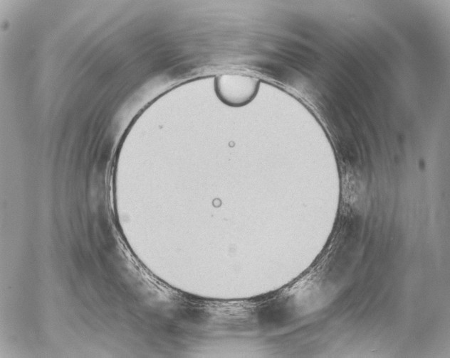 X0000053051150200507251416