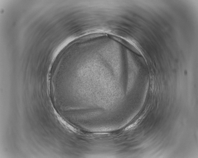 X0000053051151200507251416