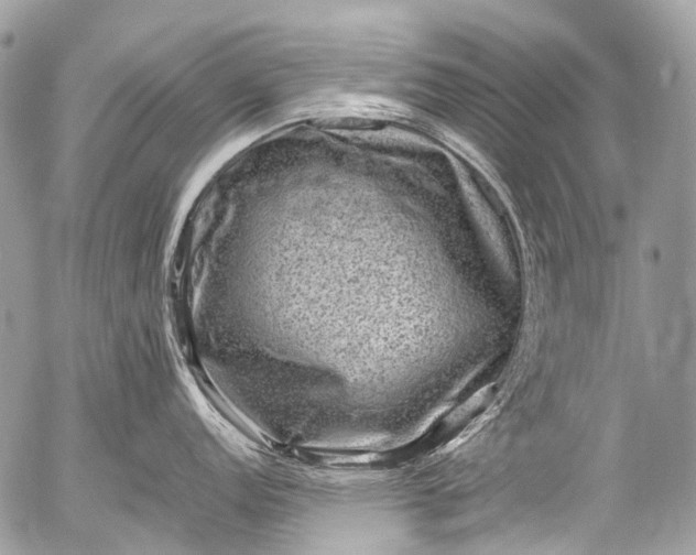 X0000053051152200507251416