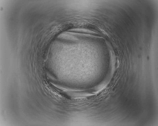 X0000053051153200507251416