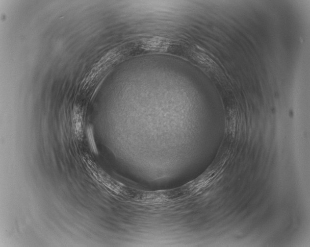 X0000053051154200507251416