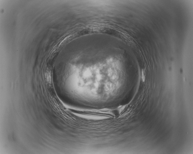 X0000053051155200507251416