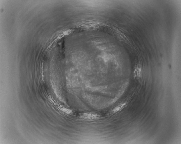 X0000053051156200507251416