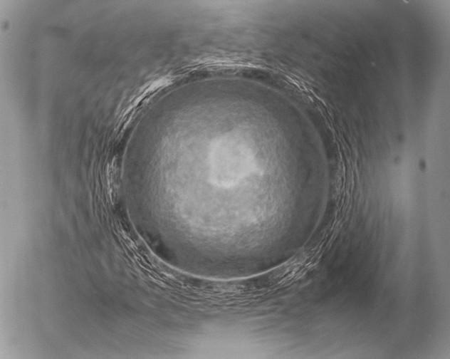 X0000053051157200507251416