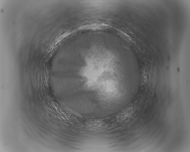 X0000053051158200507251415