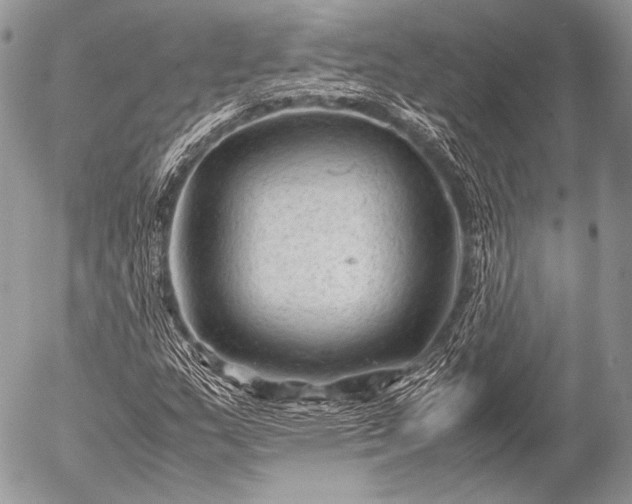 X0000053051159200507251415