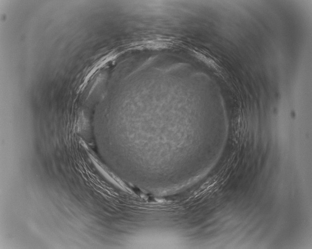 X0000053051160200507251415