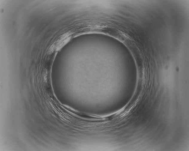 X0000053051161200507251415