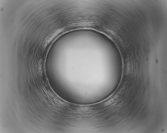 X0000053051162200507251415