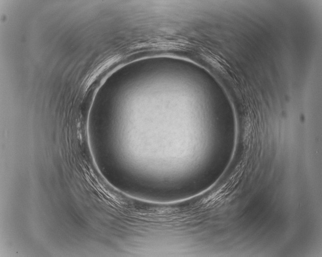 X0000053051163200507251415