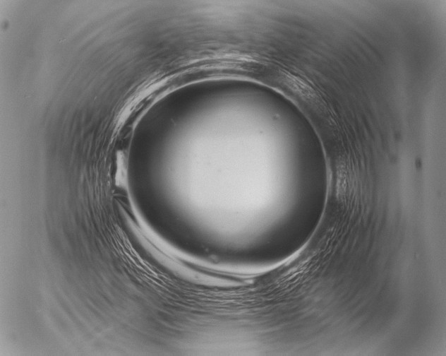 X0000053051164200507251415