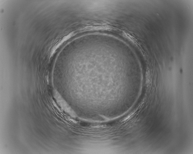 X0000053051165200507251415