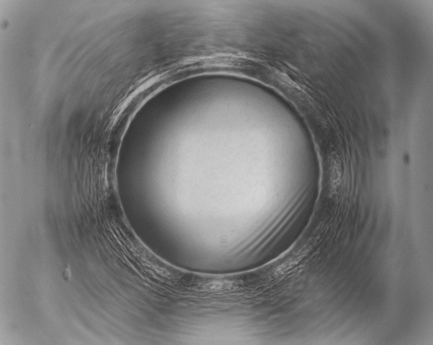 X0000053051166200507251415