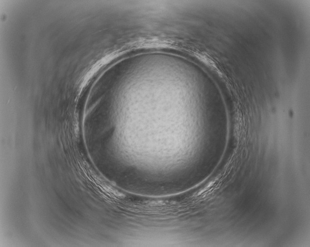 X0000053051167200507251415