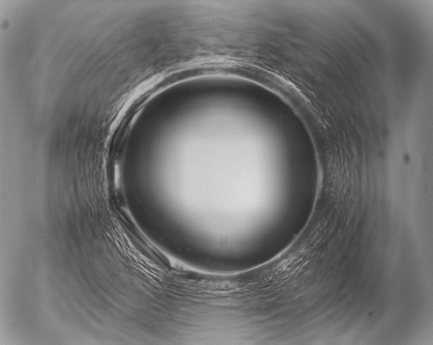 X0000053051168200507251415