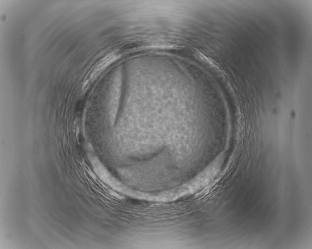 X0000053051169200507251415