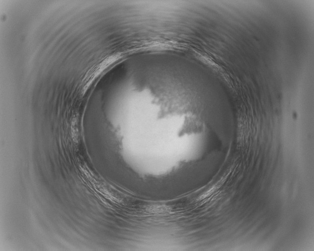 X0000053051170200507251415