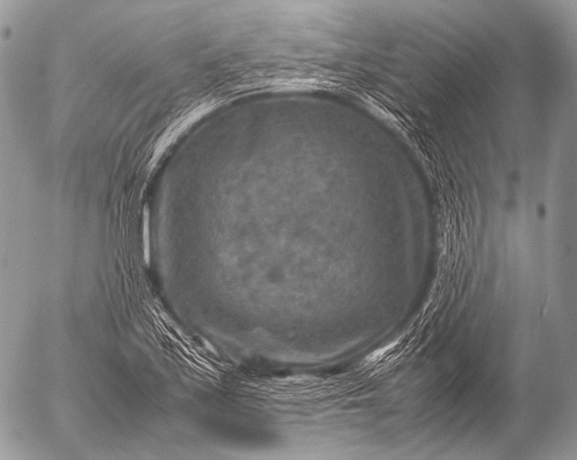 X0000053051171200507251415