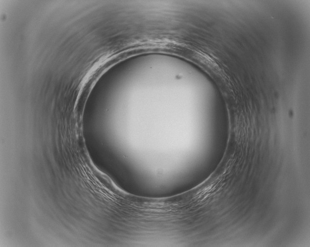 X0000053051172200507251415