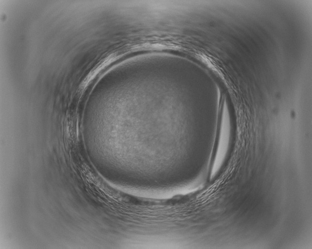 X0000053051173200507251415