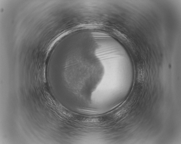 X0000053051174200507251415