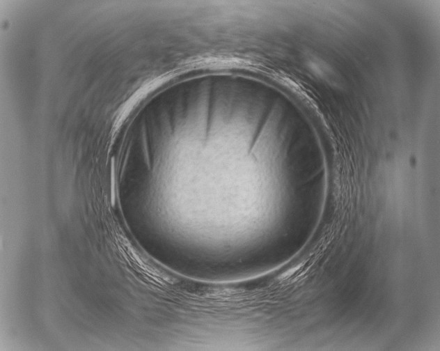 X0000053051175200507251415