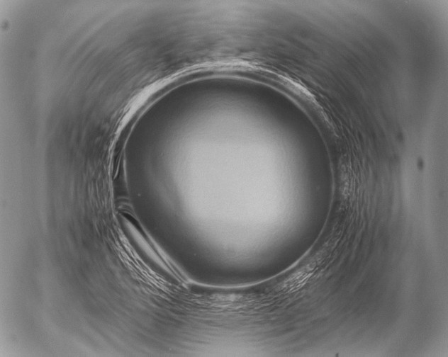 X0000053051176200507251415