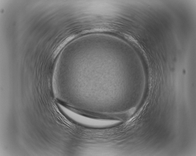 X0000053051177200507251415