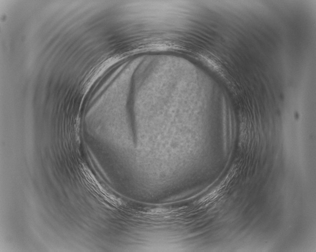 X0000053051178200507251415