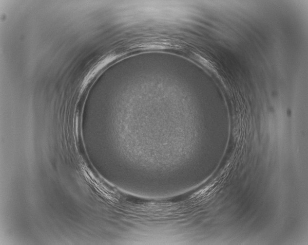 X0000053051179200507251415