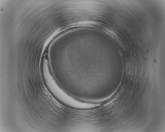 X0000053051180200507251415