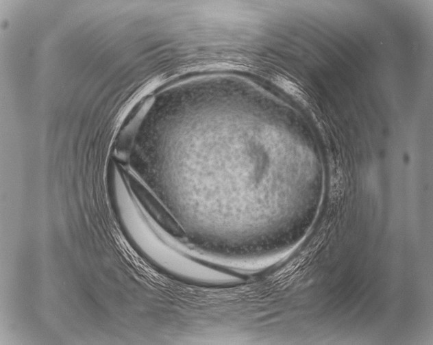 X0000053051181200507251415