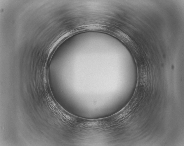 X0000053051182200507251415