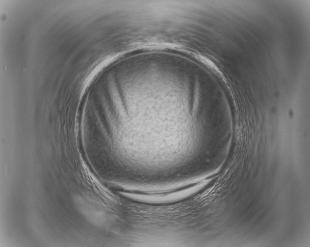 X0000053051183200507251415