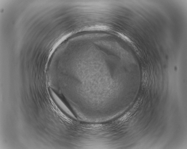 X0000053051184200507251415