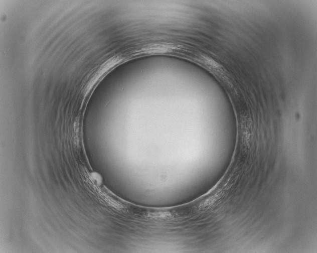 X0000053051186200507251415