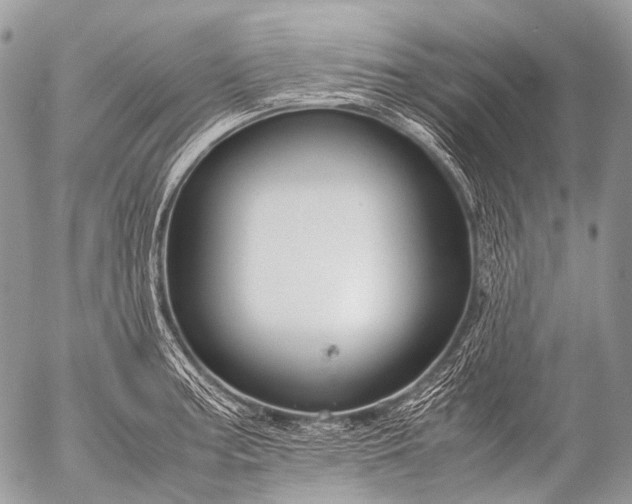 X0000053051187200507251415