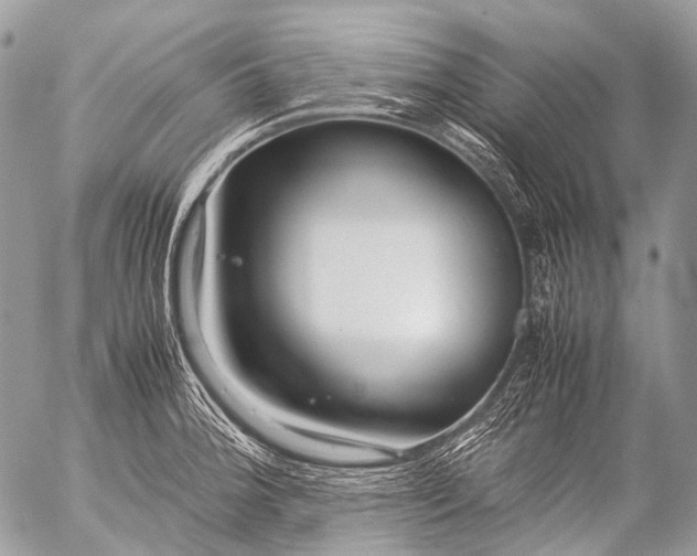 X0000053051188200507251415