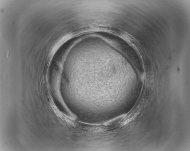 X0000053051189200507251415