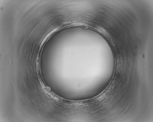 X0000053051190200507251415