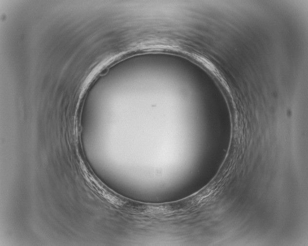 X0000053051191200507251415