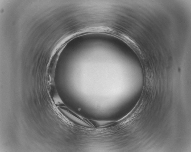 X0000053051192200507251415