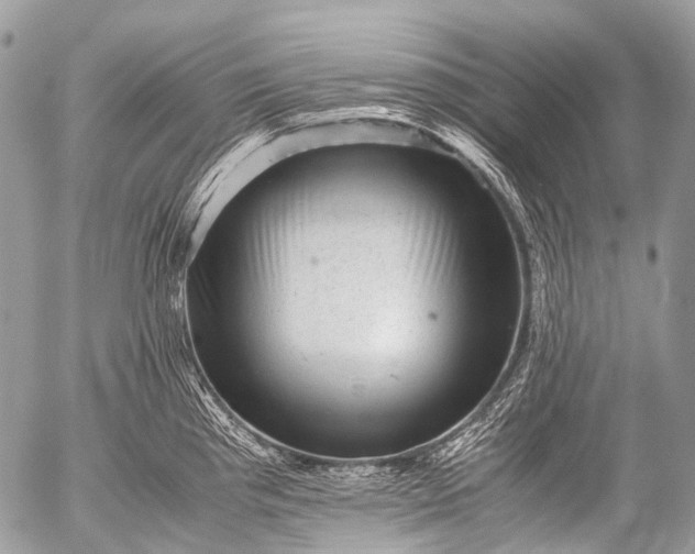 X0000053051193200507251415